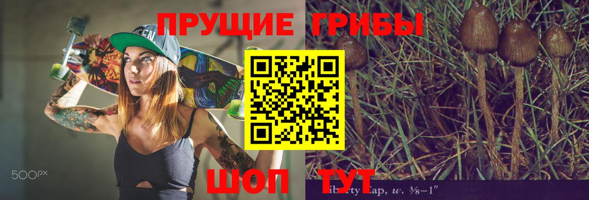 Псилоцибиновые грибы Psilocybe Павловский Посад