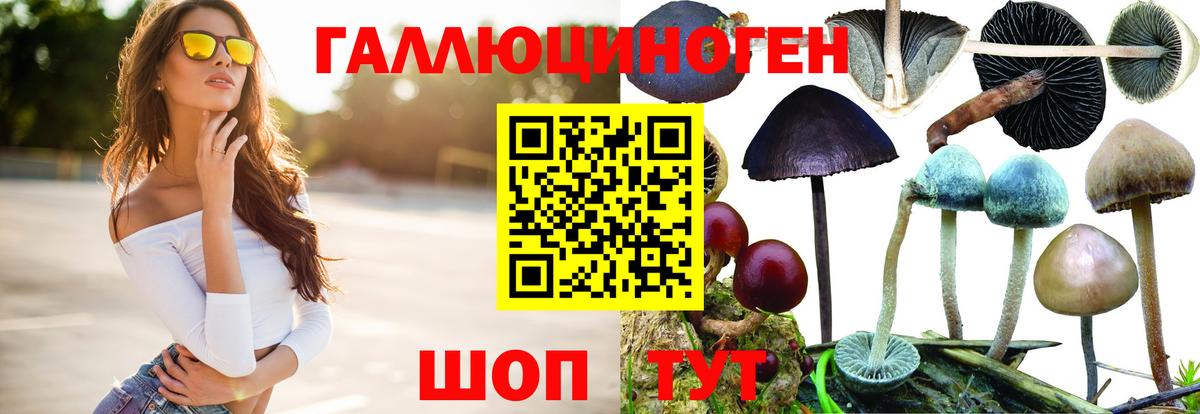 Павловский Посад  Псилоцибиновые грибы мухоморы  Галлюциногенные грибы MAGIC MUSHROOMS  Вход с VPN 